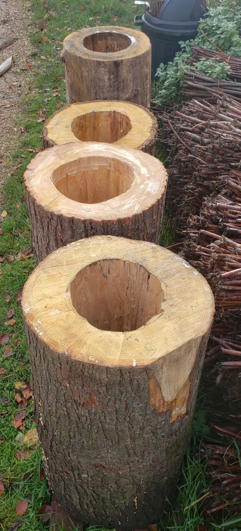 hollowed out logs